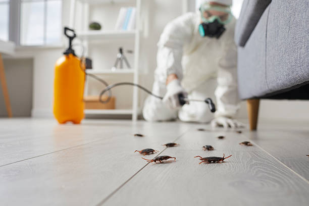 Commercial Kitchen Cockroach Control in Fort Dix