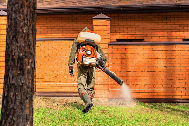 Cockroach Follow-Up and Monitoring in Fort Dix